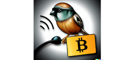 Featured Image for Using Bitcoin Core with Sparrow Wallet